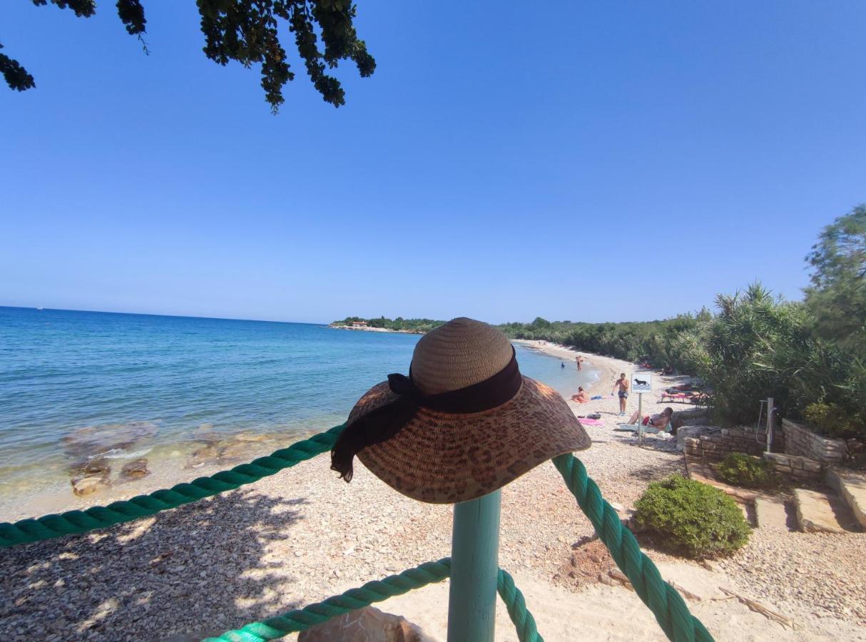Rita Kiwi * Novigrad (Istria)