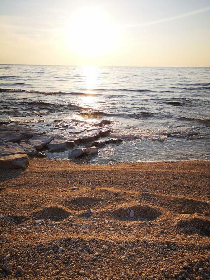 Apartma Rita Kiwi Novigrad (Istria)