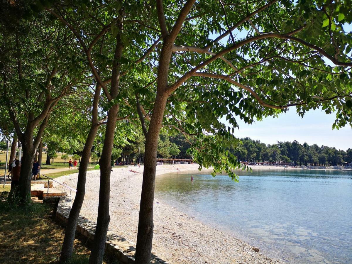 Apartma Rita Kiwi Novigrad (Istria)