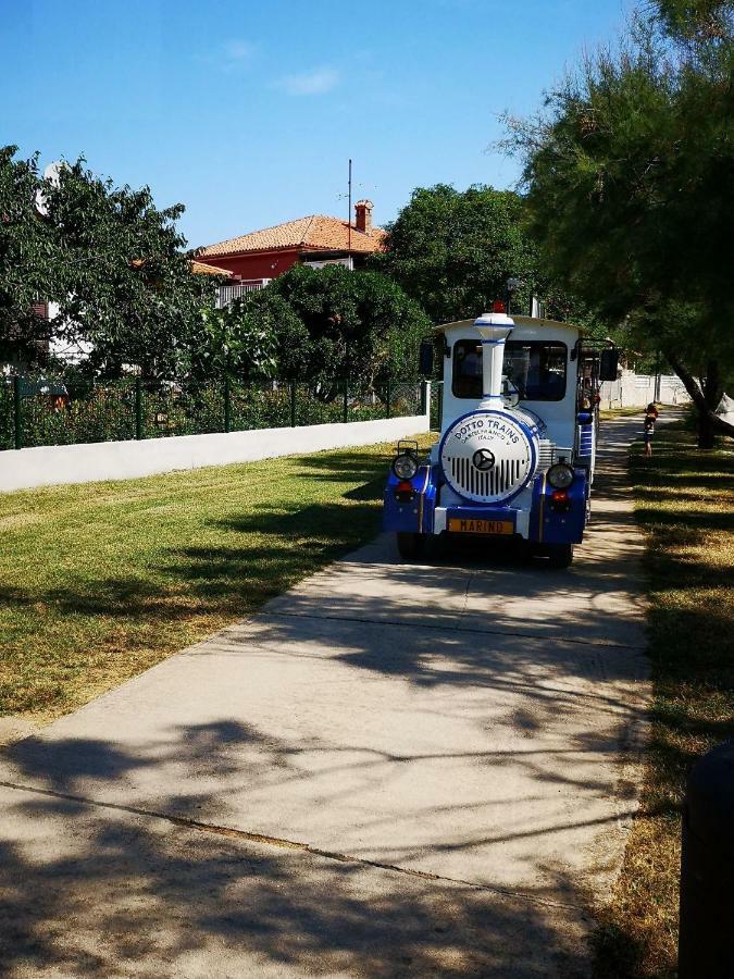 Rita Kiwi Novigrad Istria